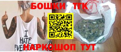 гидра Славгород