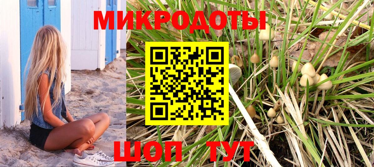 Галлюциногенные грибы Cubensis  Вход с VPN  Якутск  Псилоцибиновые грибы прущие грибы 