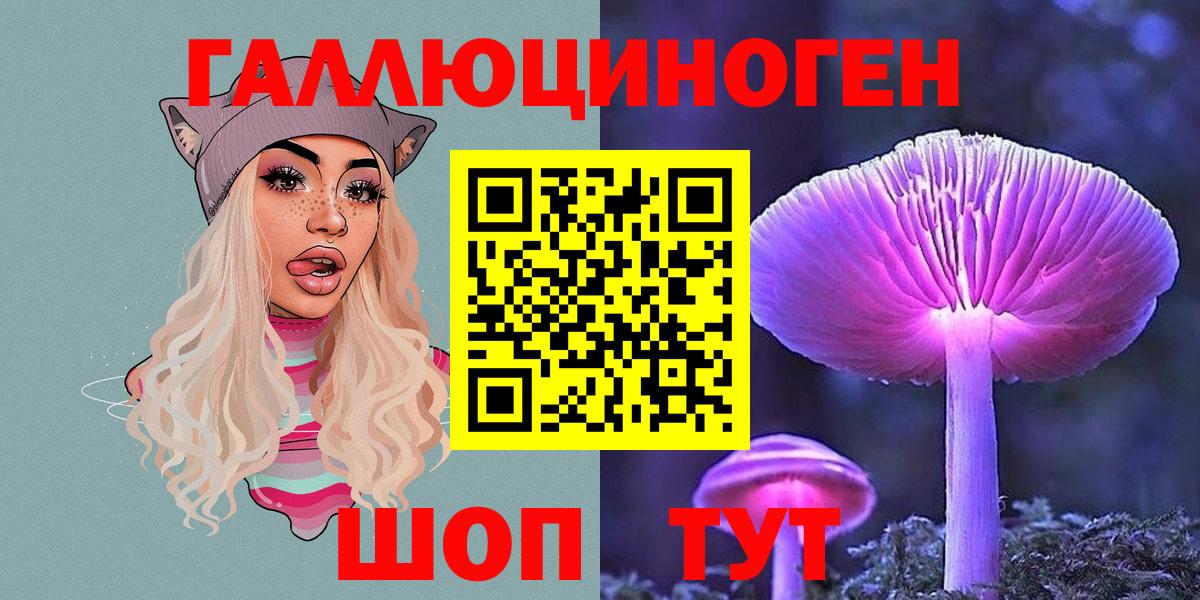 Галлюциногенные грибы Psilocybine cubensis Якутск